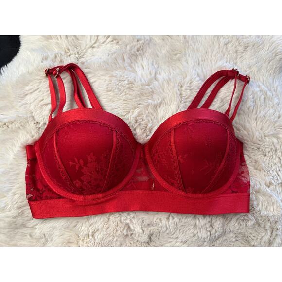 RARE🔥 Honey Birdette LUCILLE❤️ Red Lace Push Up Bra 34DD - Picture 2 of 5
